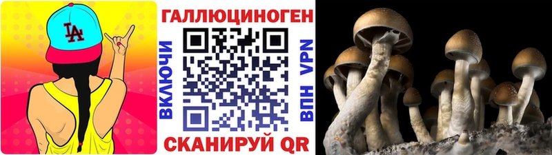 Псилоцибиновые грибы прущие грибы  blacksprut вход  Коркино 